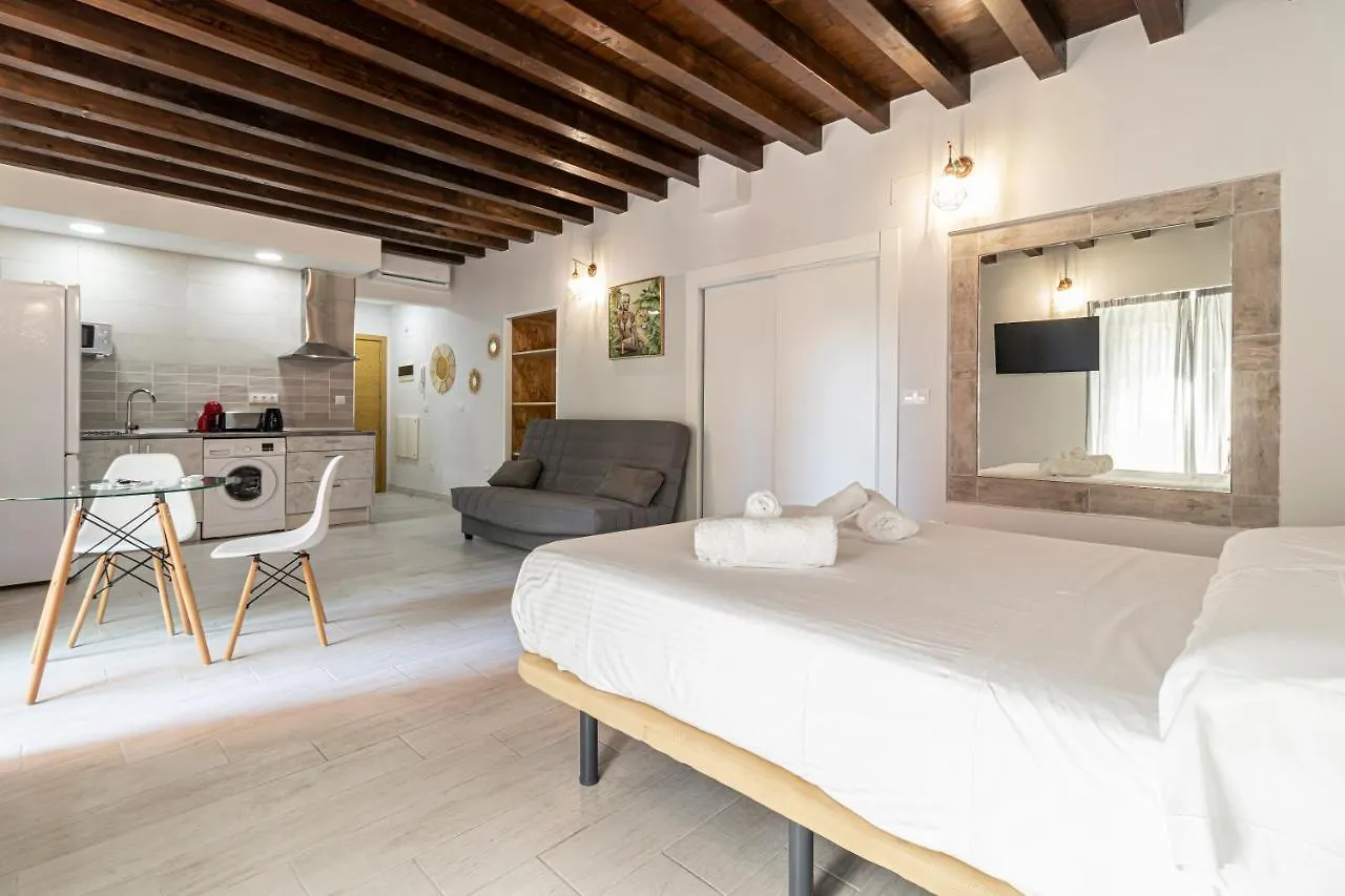 Allo Apartments Plateros Centro Jacuzzi Comunitario 赫雷斯